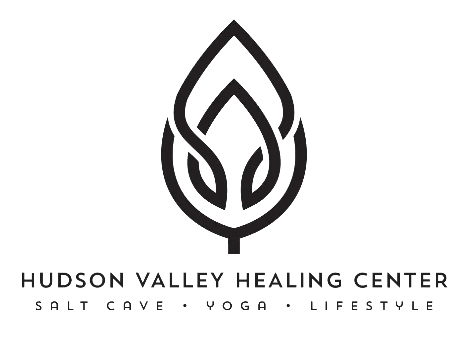 Hudson Valley Healing Center logo